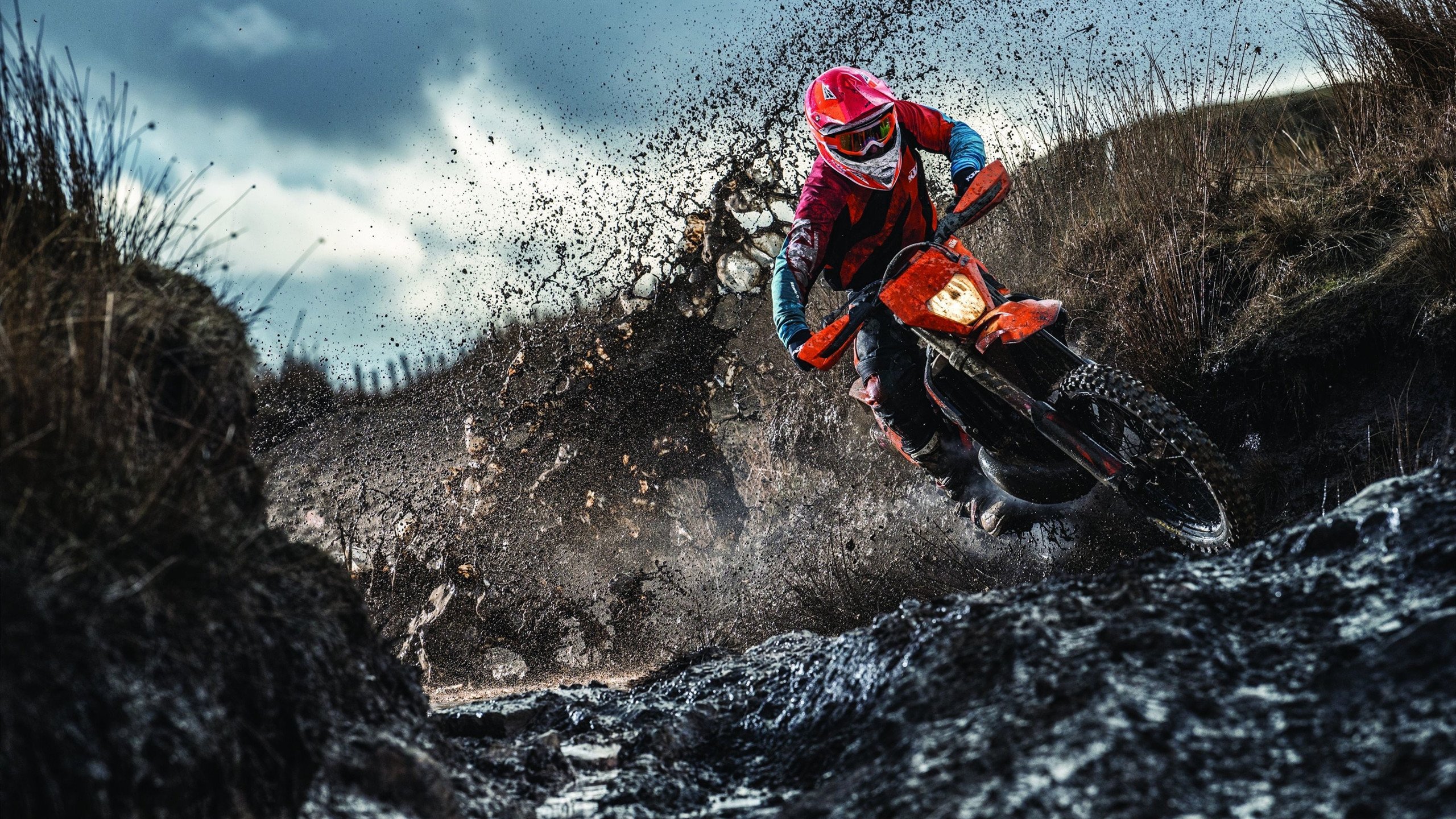 Faker冷静操作创造巅峰瞬间，faker凉了吗